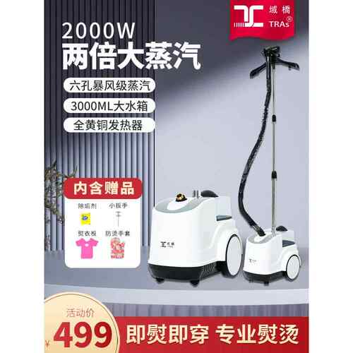 域桥挂烫机家用商用服装店手持大蒸汽熨烫机烫衣服立式熨斗大功率