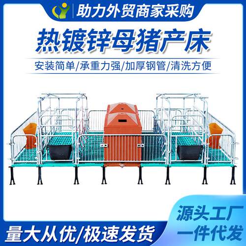 母猪产床2.5厚度热镀锌母猪产床双体母猪分娩产保一体床
