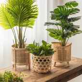 北藤编花篮花盆子花架客厅落地Kt5z0OCX阳台竹编织摆置式 植物欧架