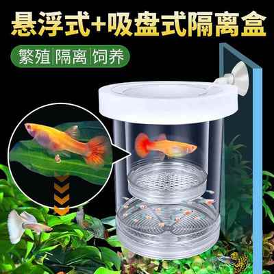 孔雀鱼小鱼繁殖隔离盒鱼缸鱼苗分隔网凤尾鱼孕母鱼孵化器生产专用