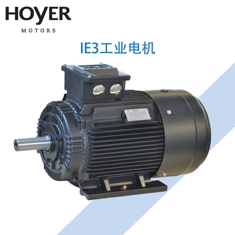 丹麦HOYER霍尔电机HMA3/HMC3铝壳/铸铁三相异步交流工业电动机IE3