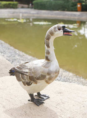 仿真鹅摆件动物模型田园装饰品儿童写真拍摄道具摄影场景大白鹅鸭
