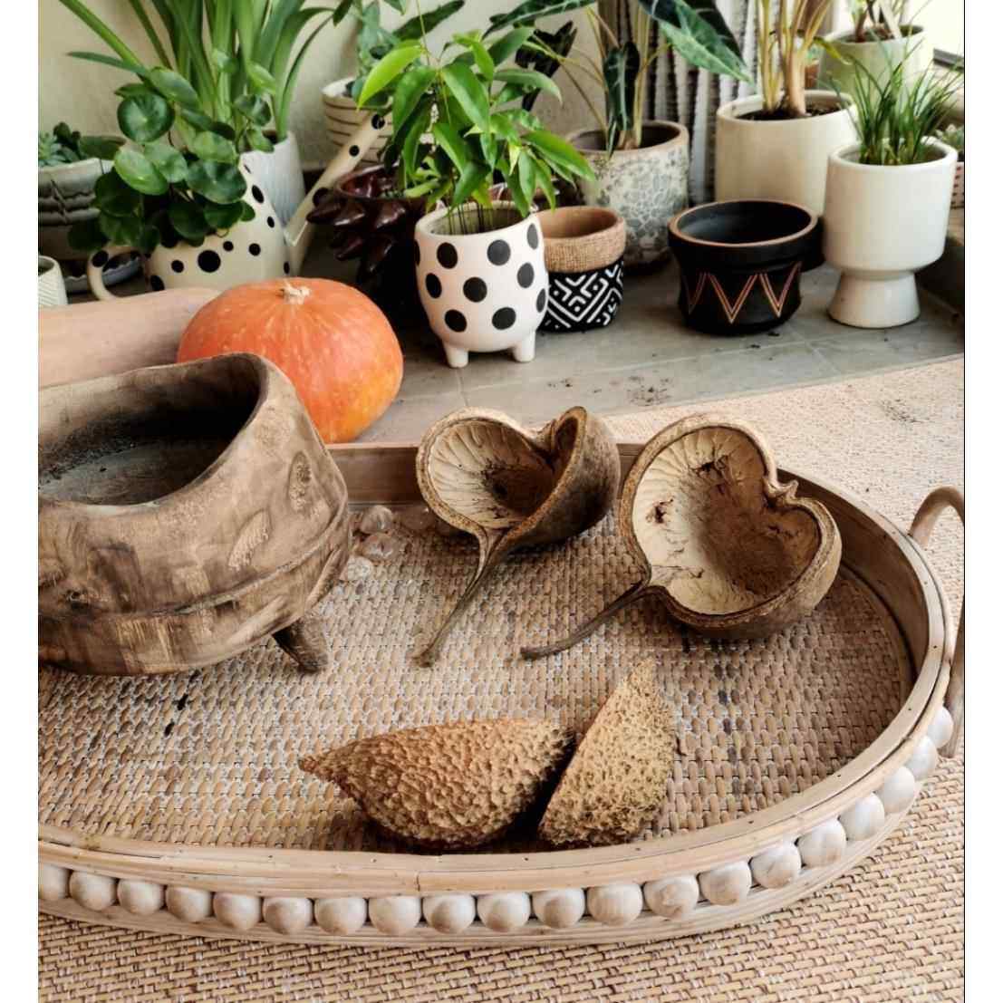 南美缸造景天然植物开口笑干燥花果壳干花原生缸装饰材料桌面摆件,家居饰品,DIY仿真材料,淘宝优惠券,粉丝福利购,淘宝优惠卷