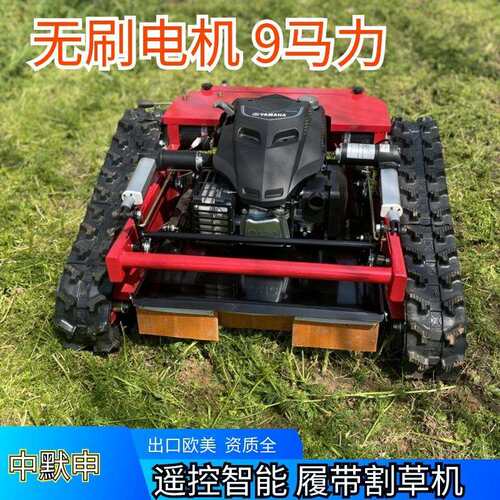 出口美国小型割草机园林农场智能遥控碎草机无刷电机9马力割草机
