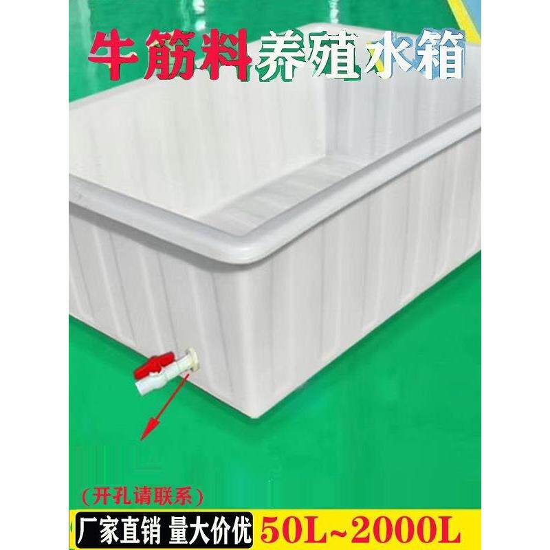 盆方箱储水桶长方牛筋塑料箱水88产加厚养龟箱鱼胶卖槽养鱼形养水