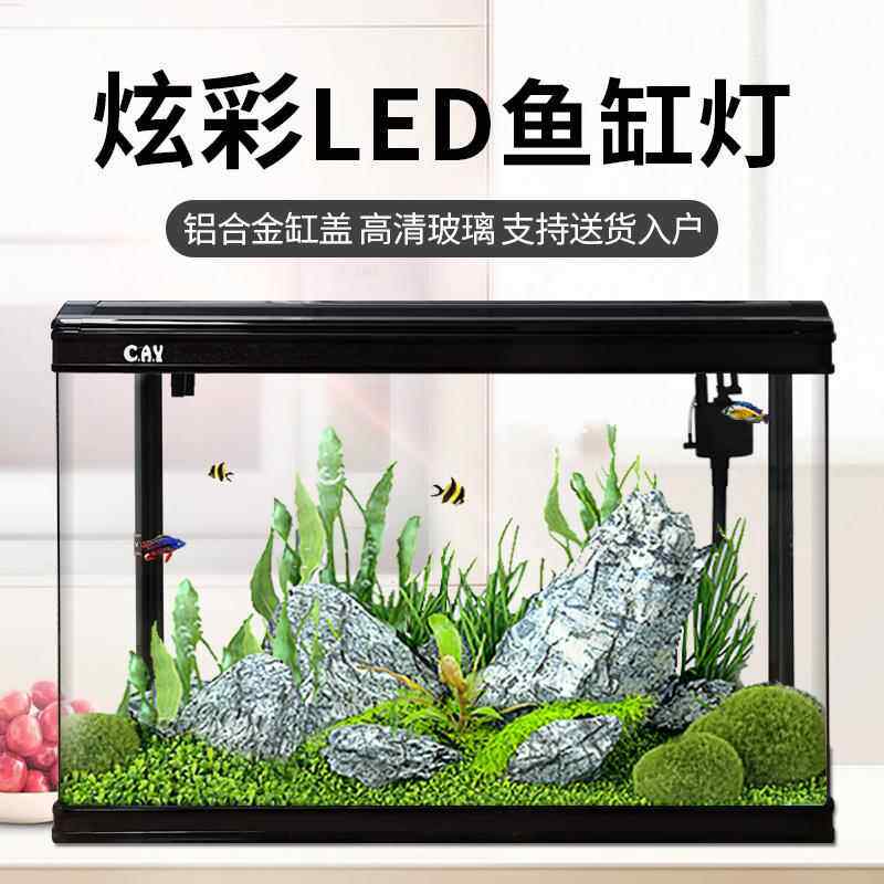 鱼缸客厅家用懒人免换水生态金鱼缸大型玻璃落地长方形水族箱新款