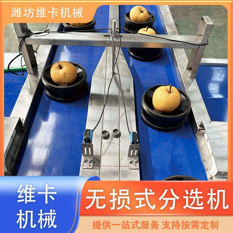 苹果无损选果机价格黄金梨秋月梨重量分选机水果自动称重分拣设