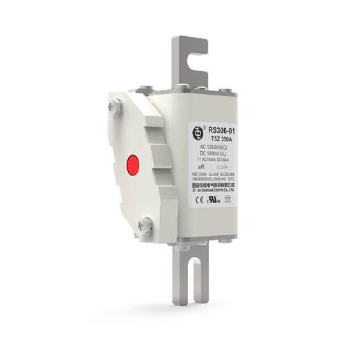 RS306-01-T5Z 40A 50A 63A 80A 100A 110A 125A西安中熔熔断器