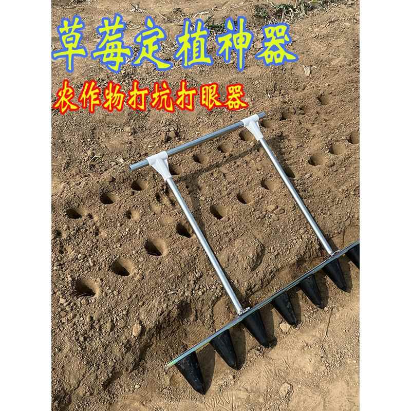 农用种植草莓打窝打坑打孔神器大棚种植移栽工具定植种花生打洞器