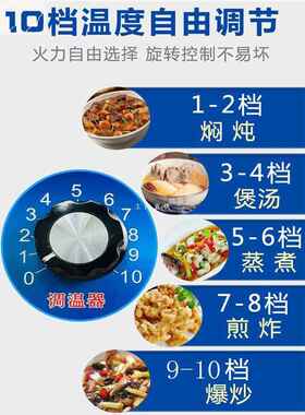 6E3X电炉灶家用多功能2000W3000W可调温加厚炒菜做饭火锅电炉