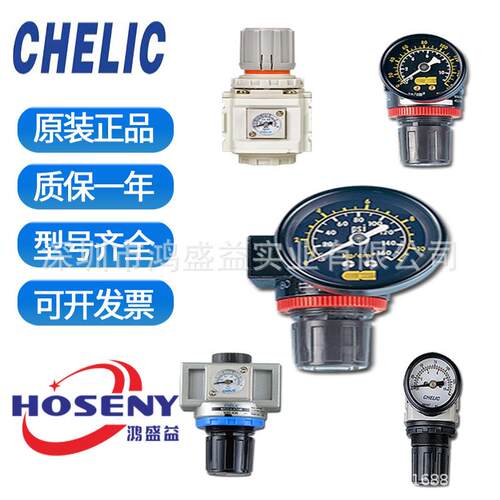 气立可CHELIC调压器BR200PG20A BR200PG20AL2 BR200-02 BR300 -03