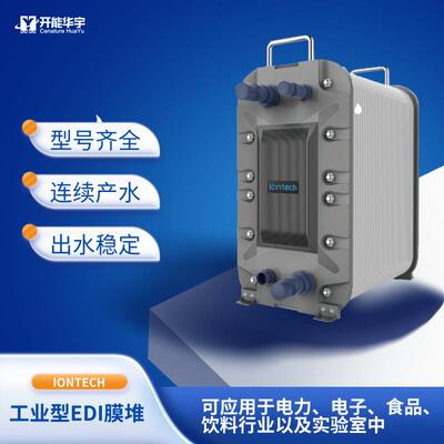 电去离子膜堆IT-DS50-S型号齐全IONTECH工业型EDI膜堆可出高纯水
