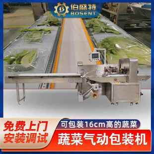 广东伯盛特牌BST 机高白菜自动打孔排气打包机 600XQD蔬菜气动包装