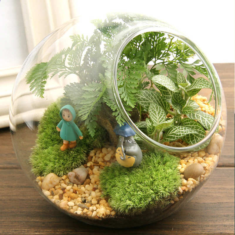 苔藓微景观生态瓶 创意礼品办公室摆件 苔藓瓶造景瓶 小梅13斜口