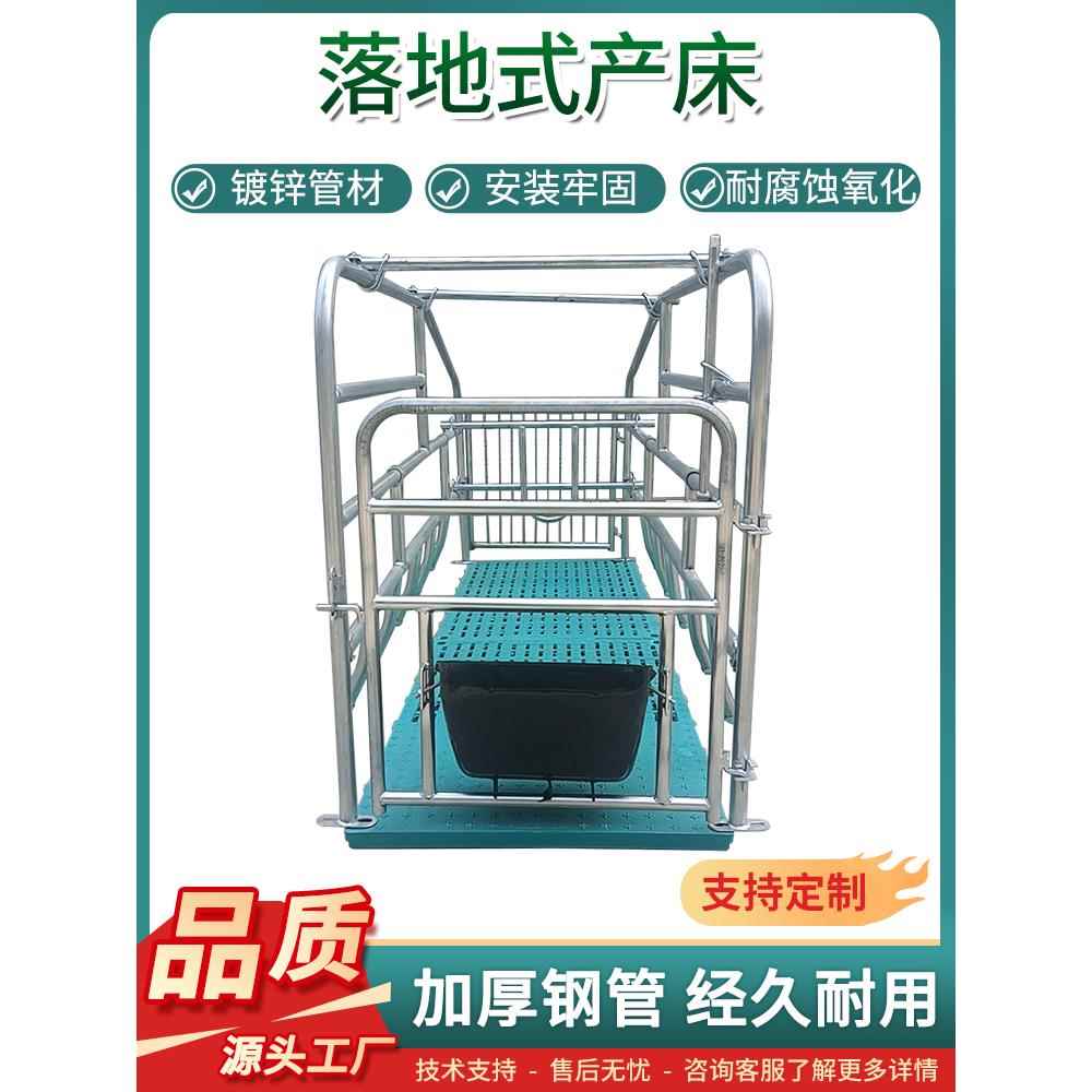母猪落地式产床镀锌管材限位栏产保两用单体分娩床带漏粪板可定制