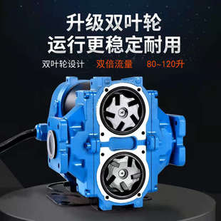 抽油泵12V24V柴油大流量双电机组合汽油防爆大功率抽油泵12v110