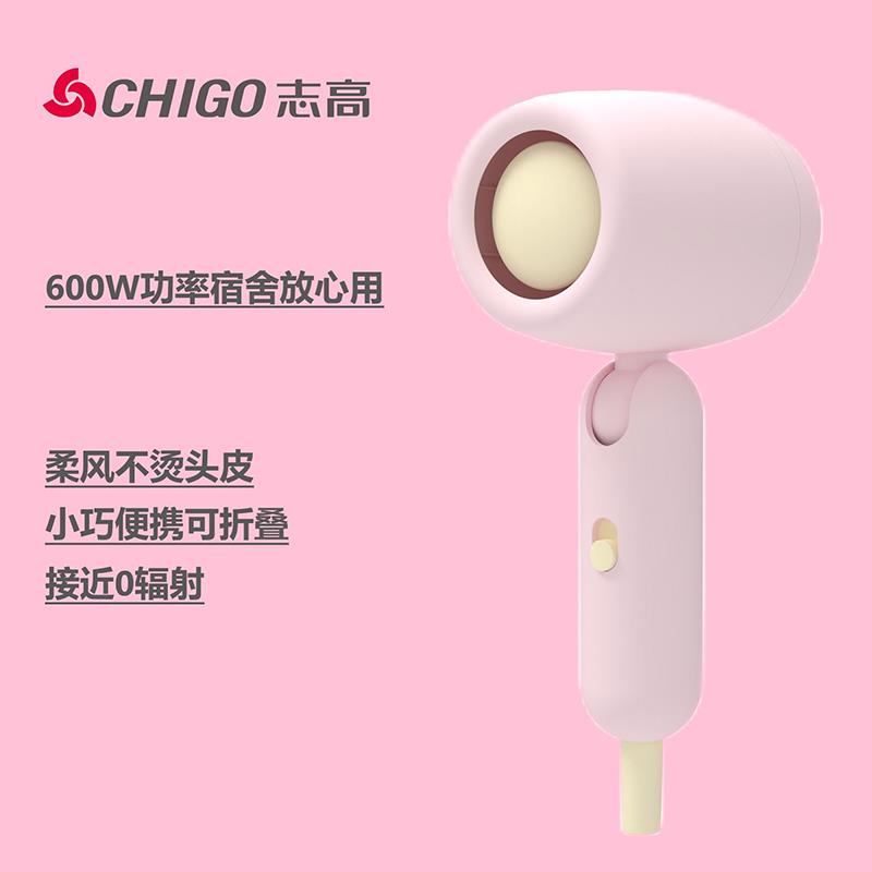 志高电吹风机家用静音迷你便携大功率负离子护发简约曼巴绿吹风筒