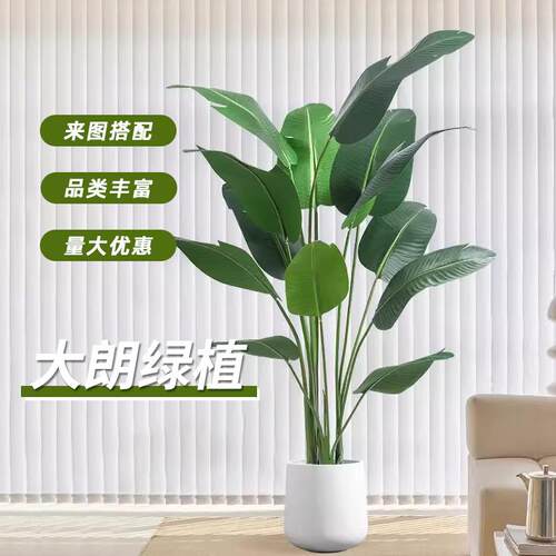 仿真植物落地天堂鸟门店客厅花装饰美人蕉假盆栽绿植树仿真旅人蕉