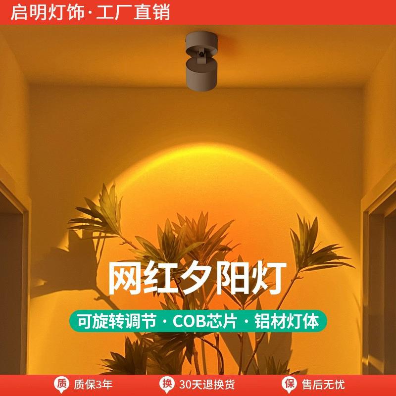 明装射灯日不落射灯洗墙可调角度家用客厅玄关照画氛围灯商铺照明