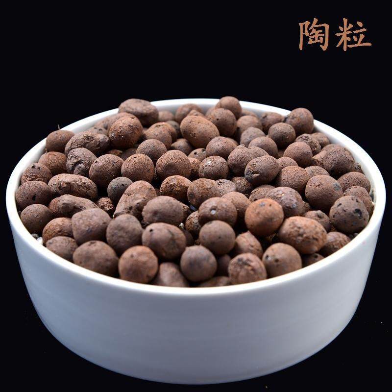 透气透气陶粒培植铺面栽培基质图片