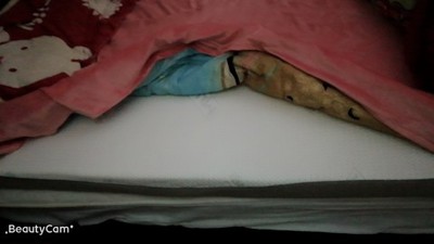 吐槽体验梦百合床垫怎么样，用后一年口碑反馈！