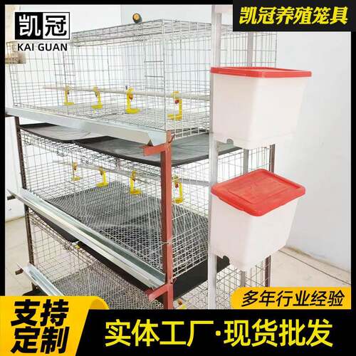 半自动清粪肉鸡笼鸡舍半自动清粪设备托盘清粪肉鸡笼半自动养殖笼