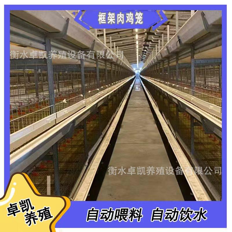 多层框架肉鸡笼三层四层加固后热镀材质可出口立体肉鸡养殖笼