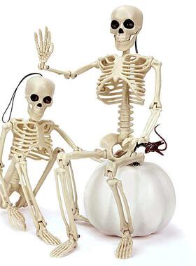 Halloween skeleton 60cm artificial human plastic skeleton