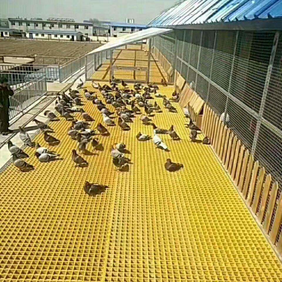 光伏走道板玻璃钢格栅洗车房排水沟格栅树篦子网养殖鸡鸭鸽舍地网