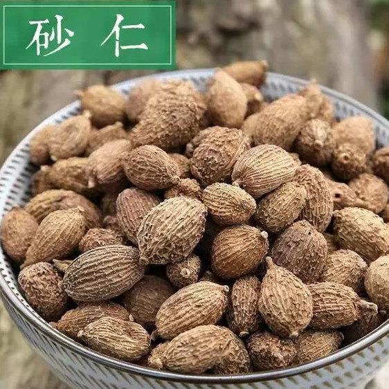砂仁500克散装春砂阳春砂壳砂仁小砂仁卤肉调味料大全毛砂仁卤料