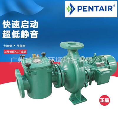 PENTAIR滨特尔XCP系列商用泳池泵浴池过滤循环吸污泵大型铸铁水泵