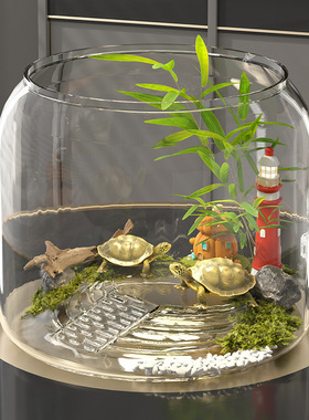 乌龟缸圆形塑料家用客厅透明生态造景金鱼绿植观赏鱼缸小型桌面