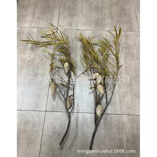 拍摄木批发材花背景干花梨家居工具进口植物插花花艺装 饰品