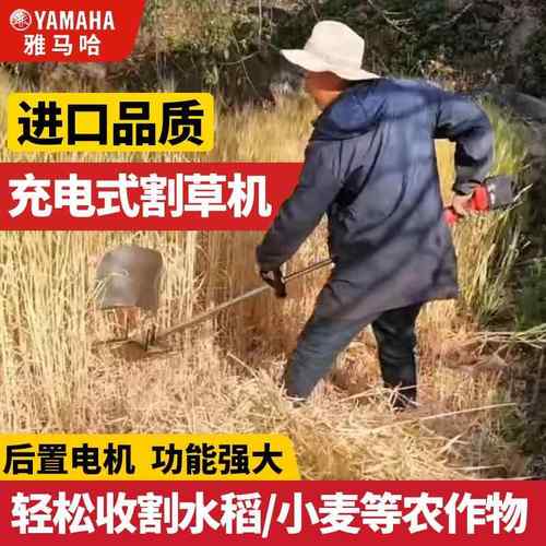 无刷电动割草机充电式小型家用草坪机多功能农用收割果园除草机