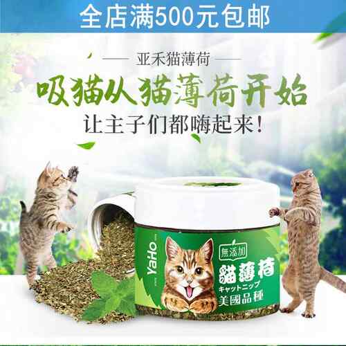 猫薄荷 250m薄荷猫咪互动猫咪自嗨
