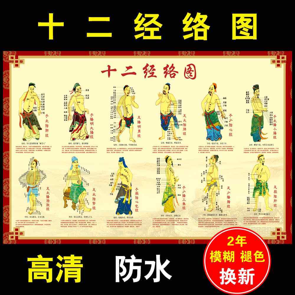 中医养生馆按摩12人体十二经络穴位图大挂图艾灸穴位图全身宣传画