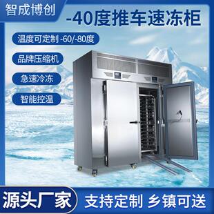 速冻柜大容量冰箱速冻插盘冰柜风冷低温急冻冰柜速冻机 商用推车式