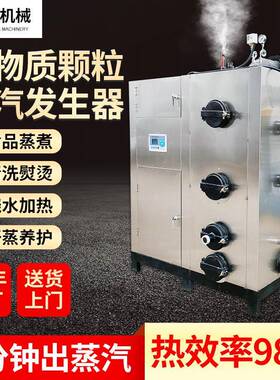 0.t-2t生物质蒸汽发生器食品加工配套设备罐头加热配套设备节能