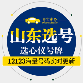 济南青岛济宁淄博潍坊新车，汽车选号新能源网上自编自选车牌号码查