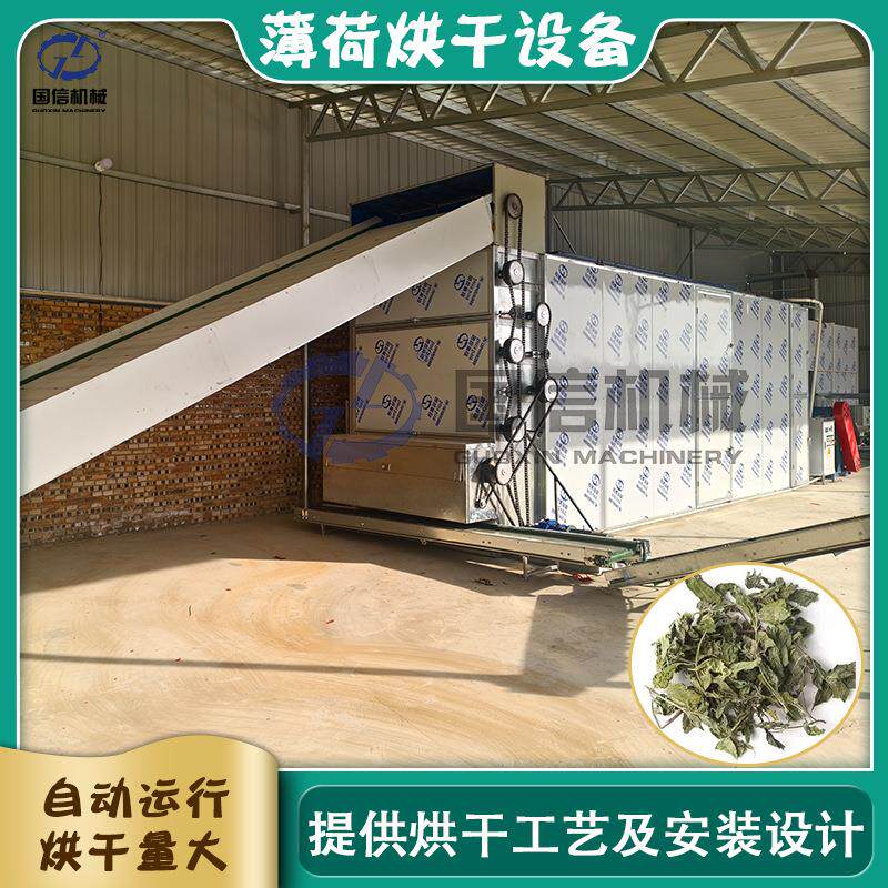 薄荷烘干设备夜息香野薄荷水益母全自动干燥机网带薄荷叶烘干机