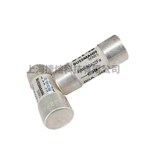 FWP-80A22Fa FWP-100A22Fa 快速熔断器 保险丝 电子元器件 现货