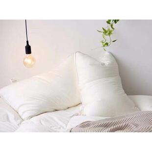 厂家直销五星酒店白色中枕如睡在云朵里柔软蓬松枕芯枕头48*74cm