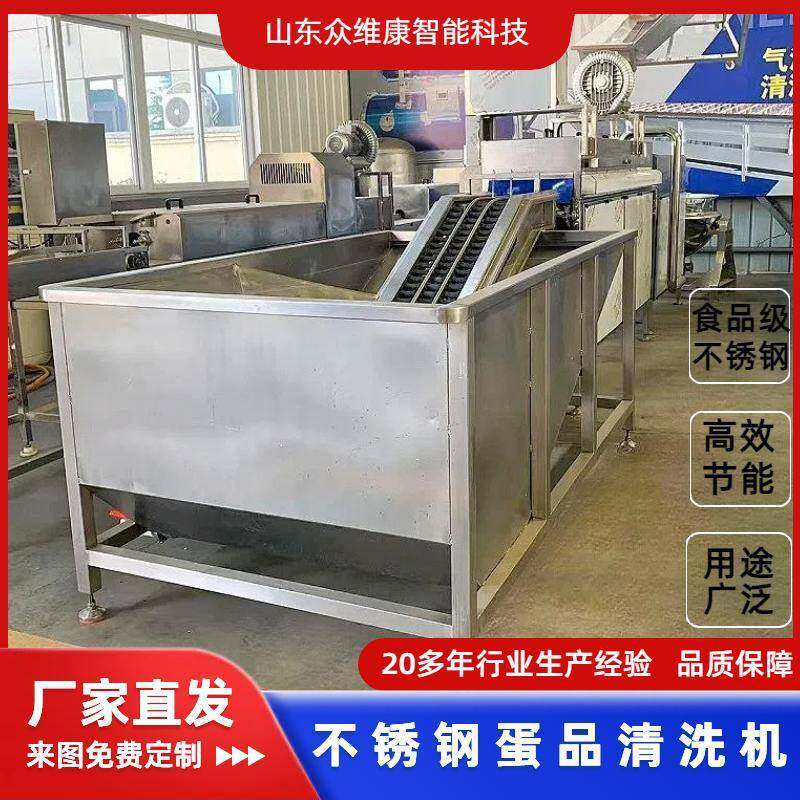 商用大型全自动洗蛋机养殖场鸡蛋鸭蛋洗蛋机黄金蛋去泥设备