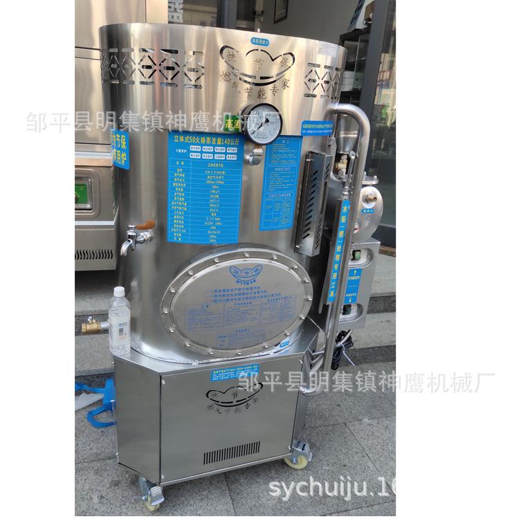 厂家直供蒸汽发生器经济款立式燃气锅炉压力蒸汽机