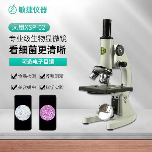 凤凰XSP-02光学显微镜小高初中生用生物教学实验科普仪器厂家