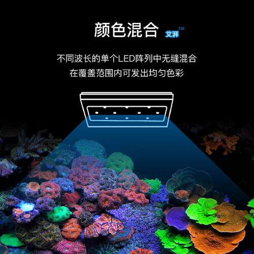 A+智控 A8全光谱海水灯 220w大功率xr30A版海水灯 珊瑚灯SE 促销