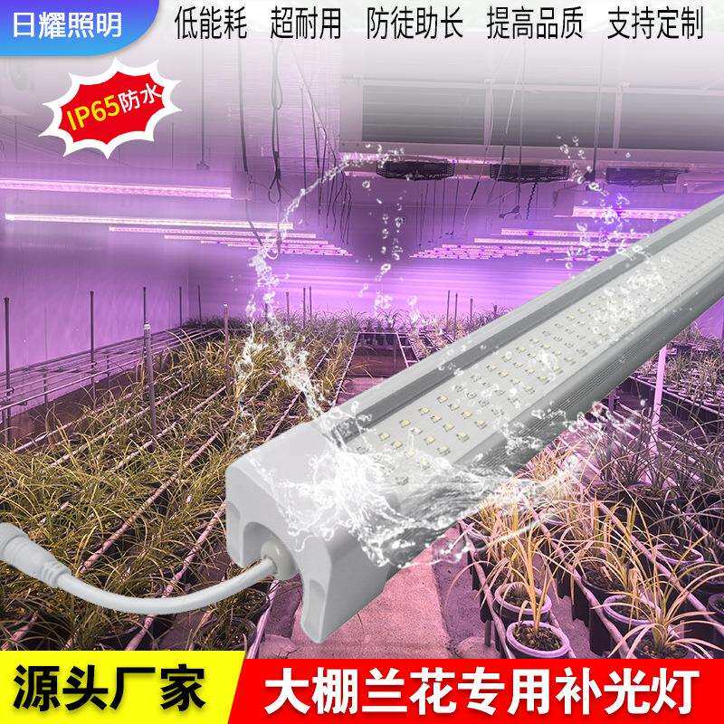 植物生长灯育苗工厂防水植物灯垂直农业牧草水稻大棚兰花补光灯