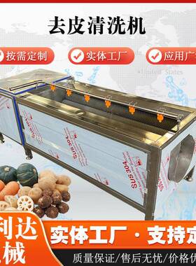 全自动毛辊清洗机材天麻清洗设备胡萝卜葛根毛刷清洗去皮机