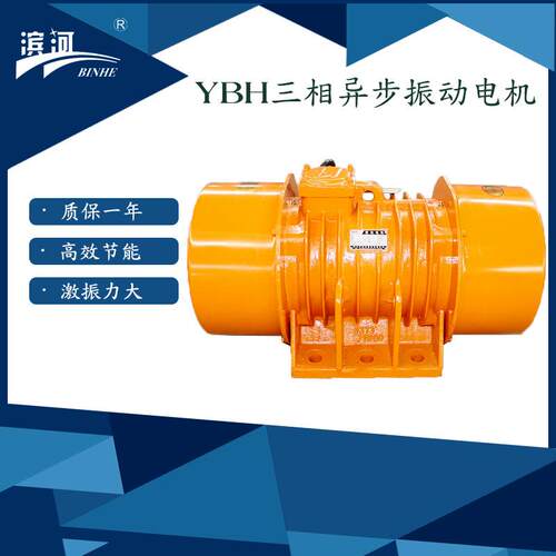 YBH系列振动电机滨河供应380V通用型矿选设备激振源