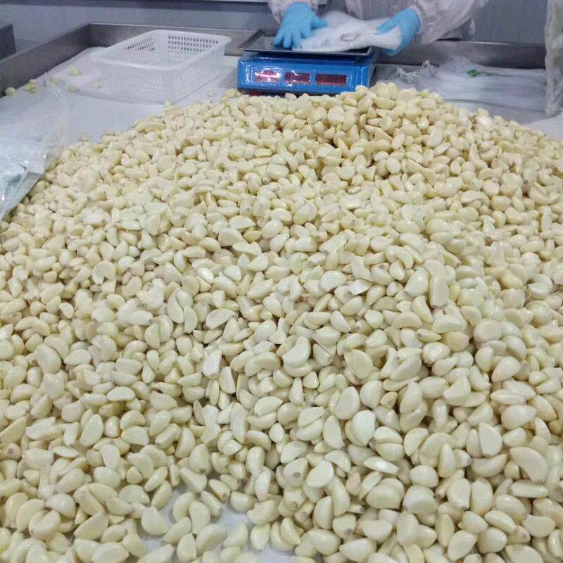 链式大蒜脱皮机大产量大蒜扒皮机1000-5000KG每小时厂价直销